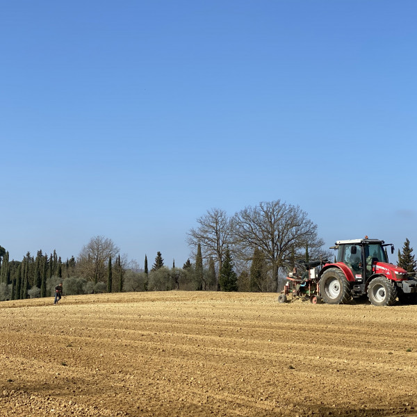 Montepulciano, discovering nuova terra